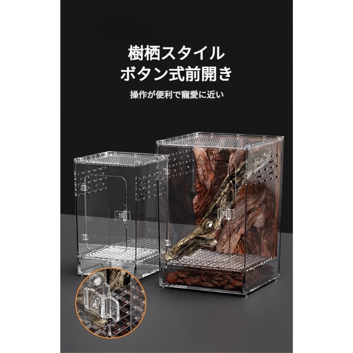 レプタイルボックス　6個 レプタイルボックス （株）三晃商会 爬虫類・両生類その他用品 E22
