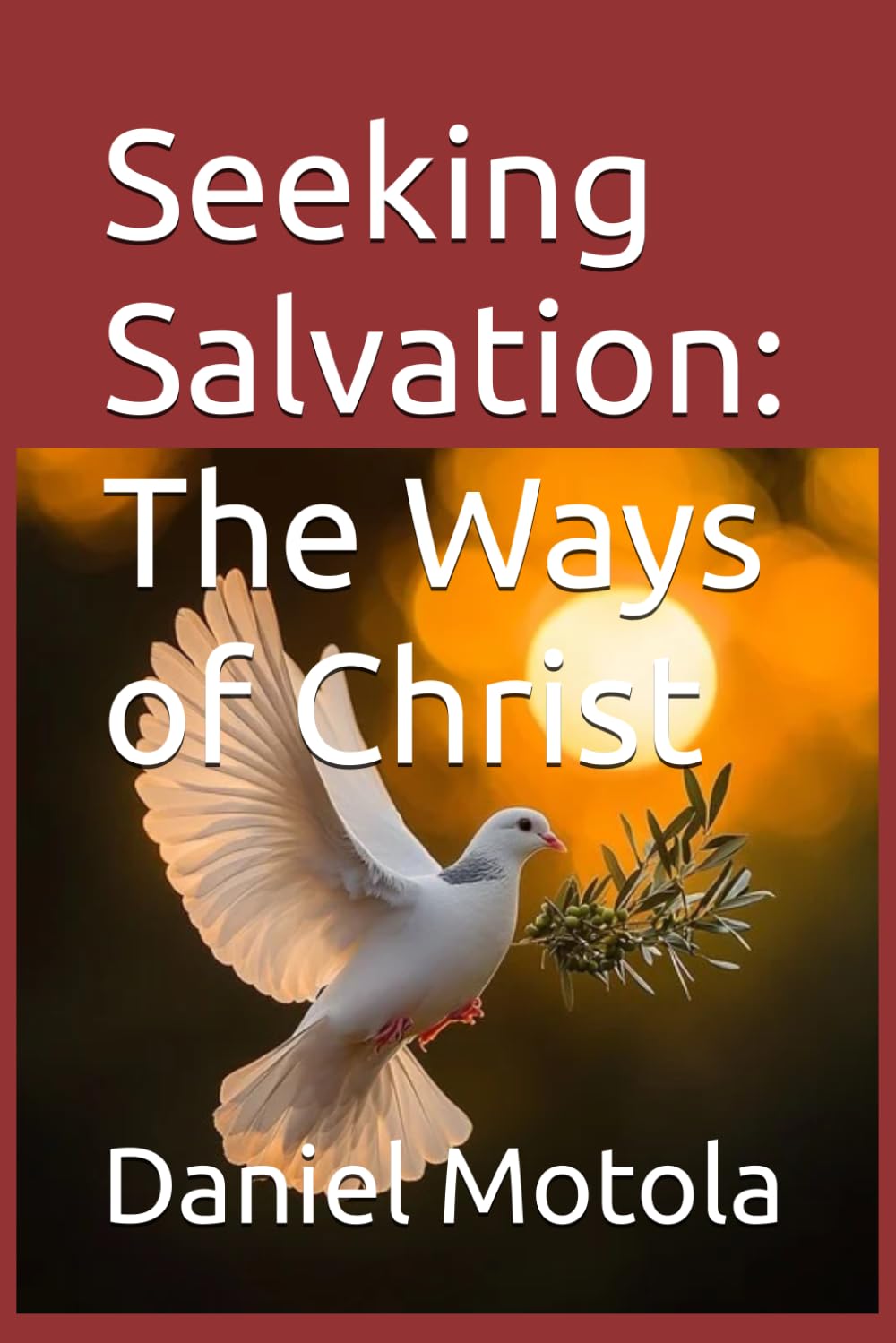 Seeking Salvation: The Ways of Christ