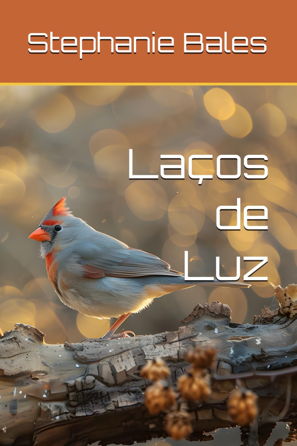 Laços de Luz