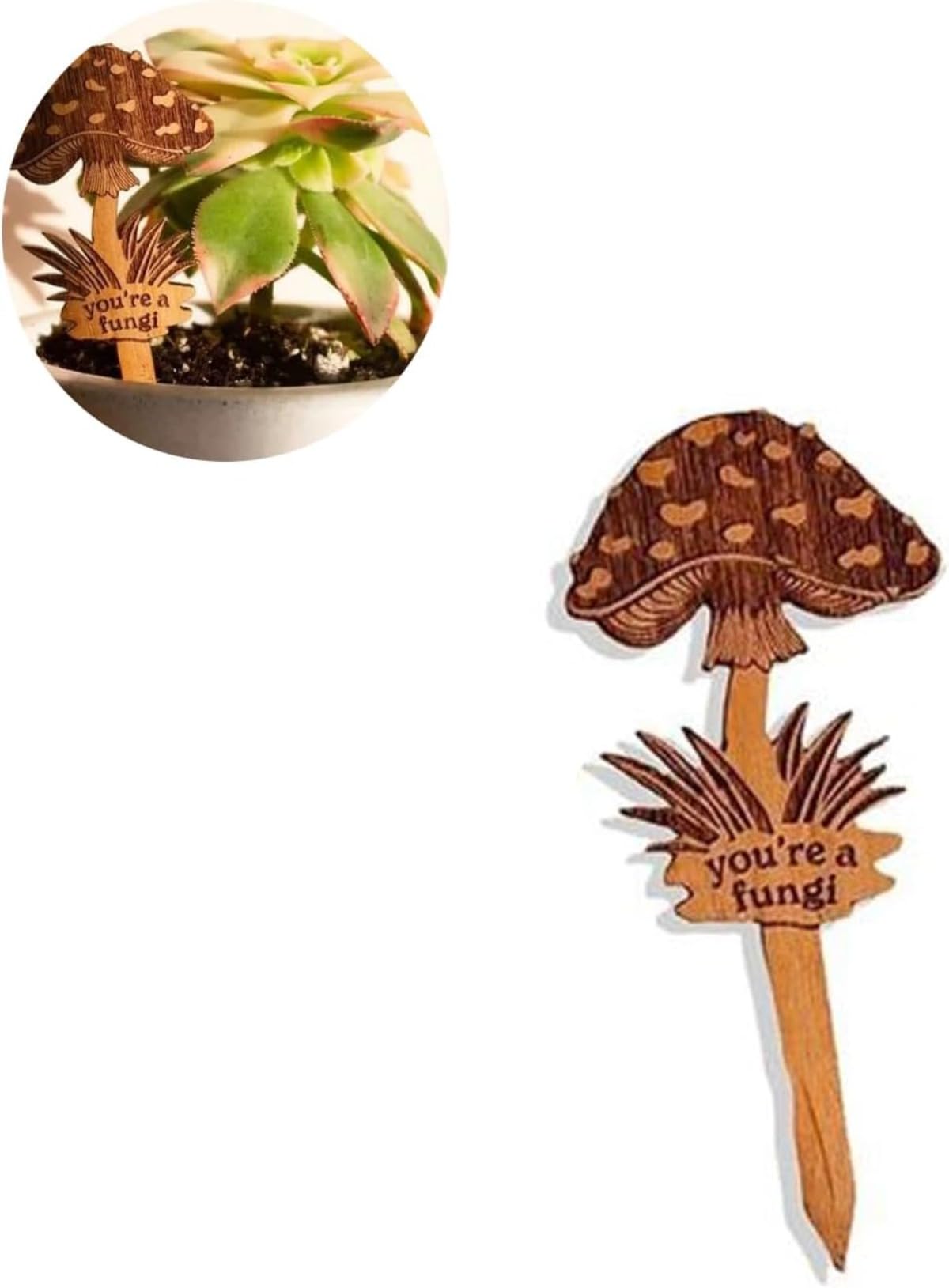 Handmade Encouraging Wood Plant Pick Wood Plant Pick Bundle Funny Wooden Plant Markers Creative Mushrooms Gifts for Plant Lovers Garden Potted Plant Sign (C)