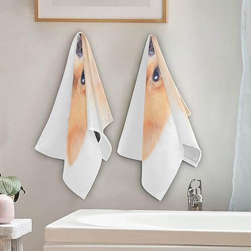 Miniatura 4 de ALAZA Juego de 2 toallas de mano para perro, suaves, absorbentes, decorativas, para baño, gimnasio, hotel, spa, 28 x 14 pulgadas