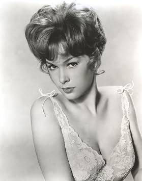 Stella Stevens Posed in Black and White Portrait wearing Sexy Floral Dress Photo Print 24 x 30