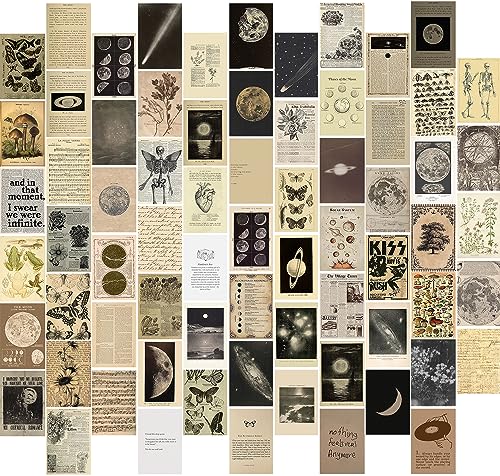 KBKBART Vintage Wall Collage Kit Aesthetic Pictures 70pcs Retro Cottagecore Room Decor Cute Photo Collage Posters for Room Aesthetic Vintage Botanical Posters 4x6 for Dorm Bedroom Teen Girls