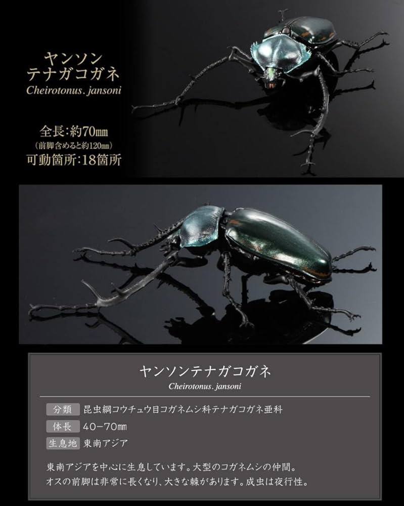 テナガコガネ　フィギュア テナガコガネフィギュア