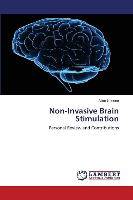 Portada de Non-invasive brain simulation