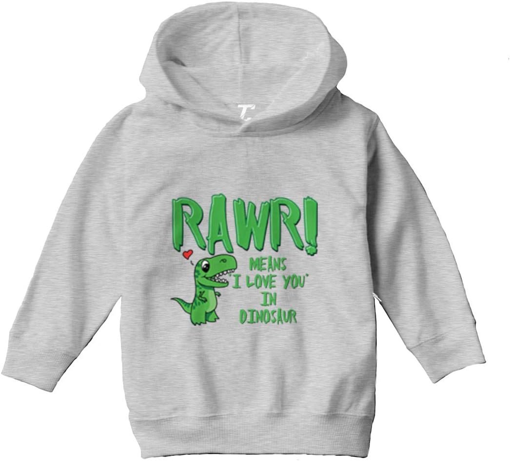 Rawr! Means I Love You in Dinosaur Toddler/Youth Fleece Hoodie