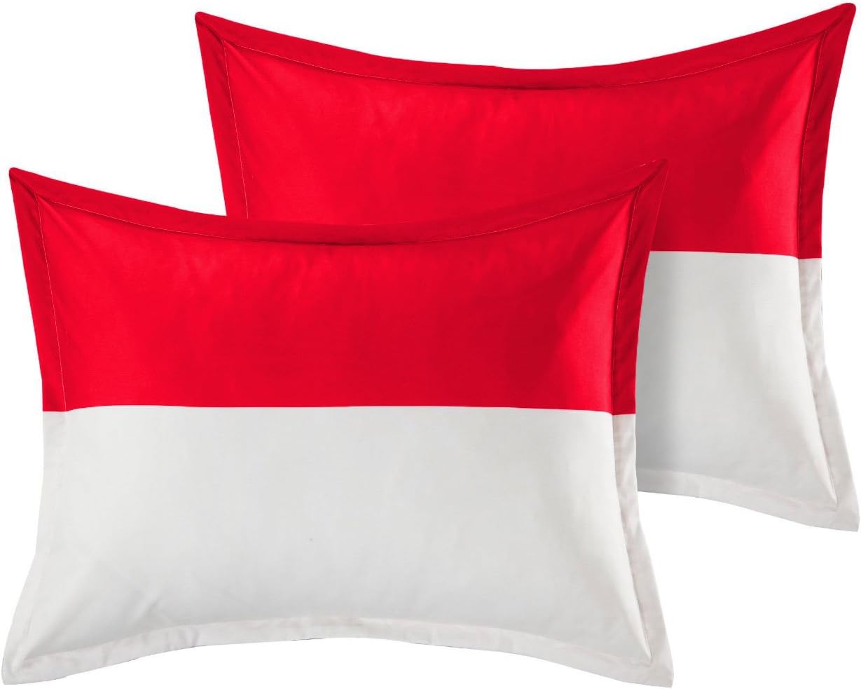 1 Pair Twin Color Pillow Sham Egyptian Cotton 500tc Silver Queen (20 x 30 inch)