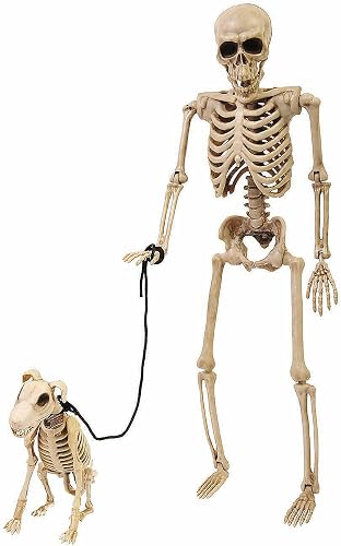 Fun World 14" Skeleton Dog on a Leash Halloween Outdoor Decoration