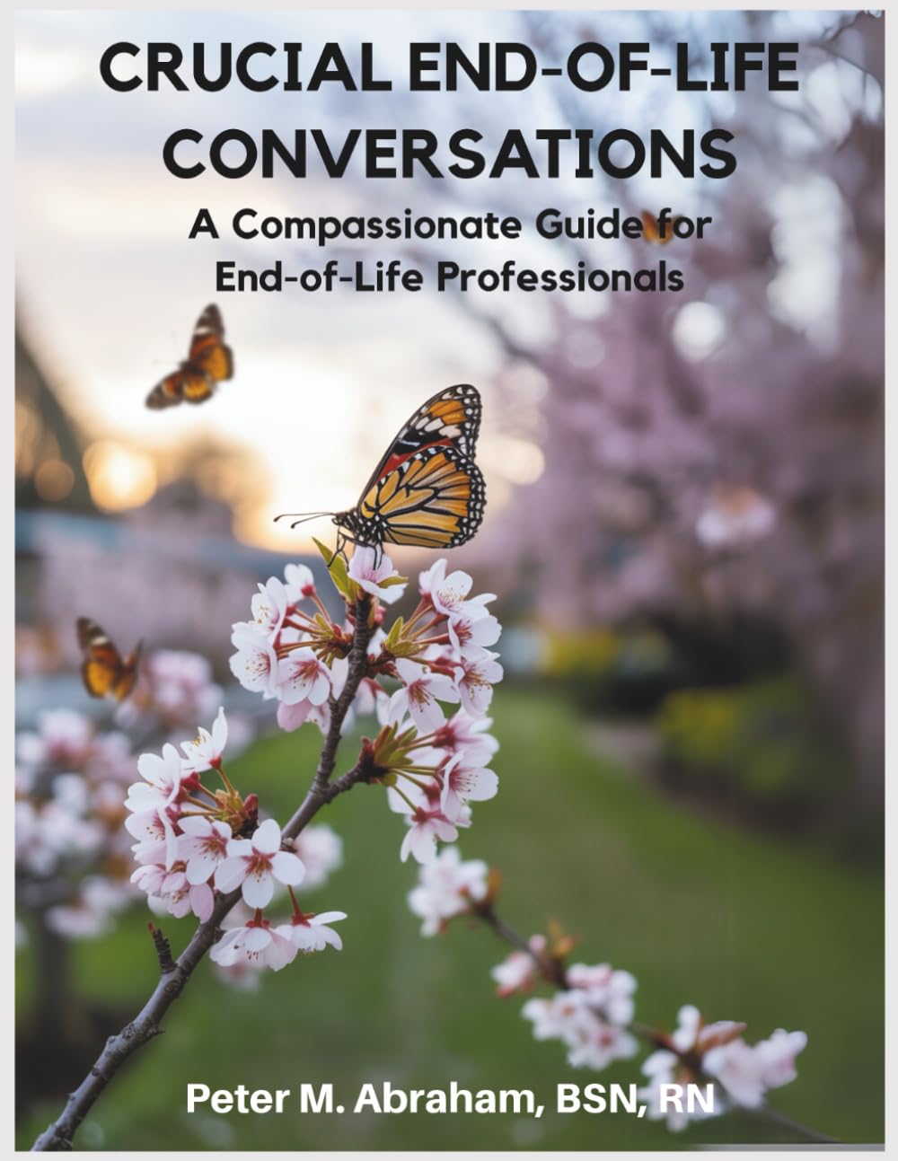 Crucial End-of-Life Conversations: A Compassionate Guide for End-of-Life Professionals (Bridges to Eternity: The Compassionate Death Doula Path)      Paperback – June 12, 2025