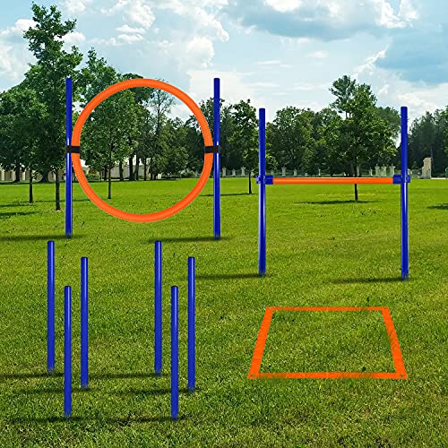 CHEERING PET Agility Training Equipment for Dogs, Dog Obstacle Course, Exercise Fun for Petsâ€¦
