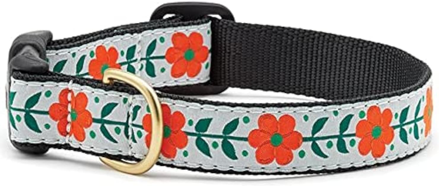 Up Country Orange You Pretty Pattern Dog Collar, X-Small (6 To 12 Inches) 5/8 Inch Narrow Width