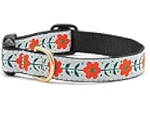Up Country Orange You Pretty Pattern (Orange You Pretty Dog Collar, Large (15 to 21 inches) 1 Inch Wide Width)