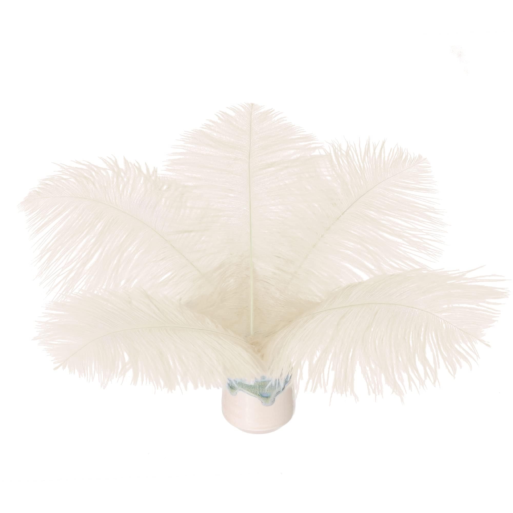 Plumes d'autruche attrape-reves et deco mariage champagne 20-25 cm