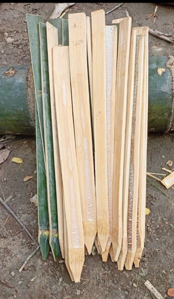 Gameya Bamboo Sticks for Plants Support (Set of 20) 2.2 Feet, 67cm Used to Support Climbers Money Plant & Other Saplings (B0CHVRD9Q3) Amazon Price History, Amazon Price Tracker