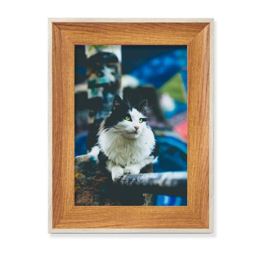 Animaux cadre de photo en bois chat paresseux affichage tableau