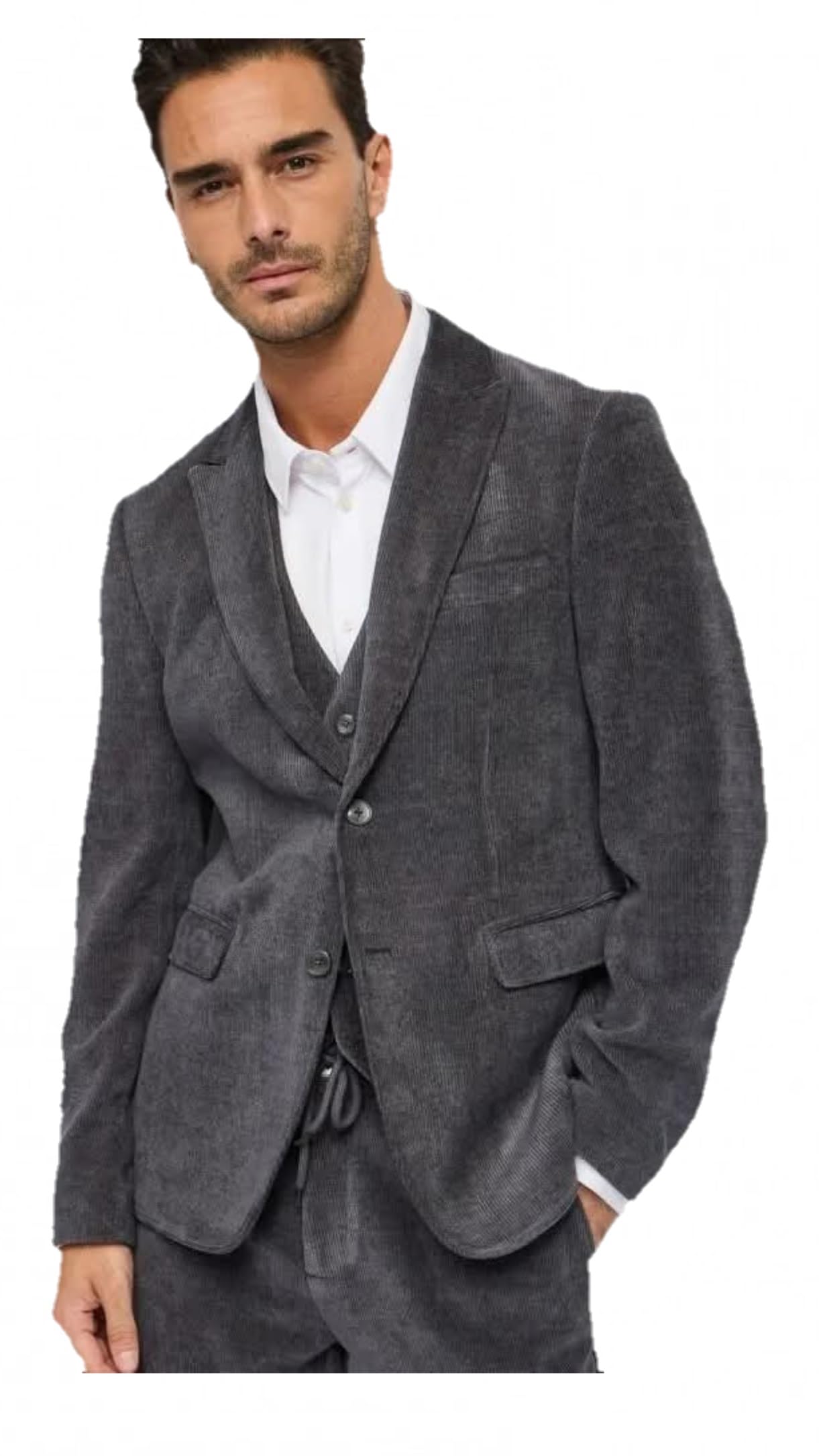 Gaudí Blazer Grigio in Velluto
