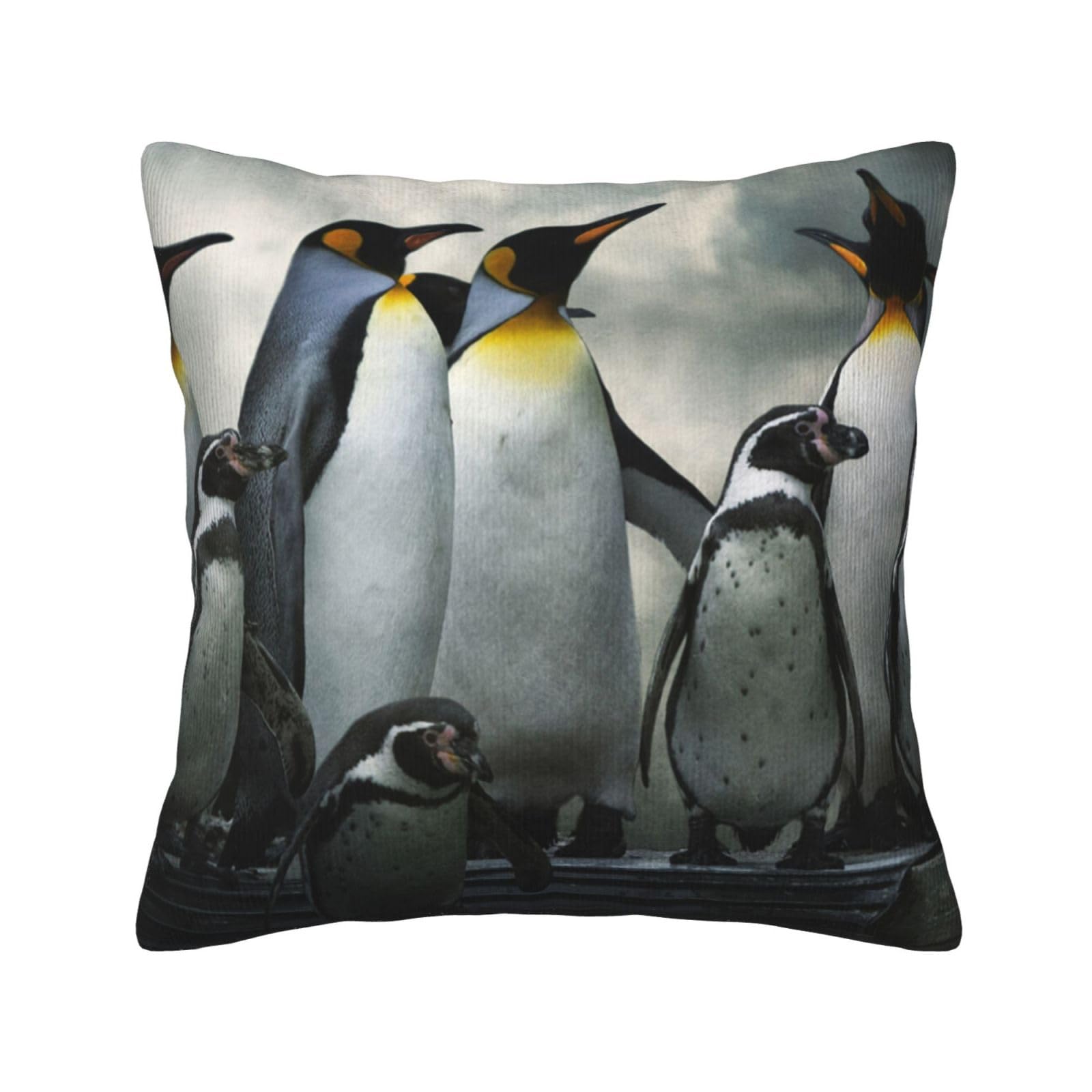 Taies d'oreiller pingouins en velours pour décorer un canapé