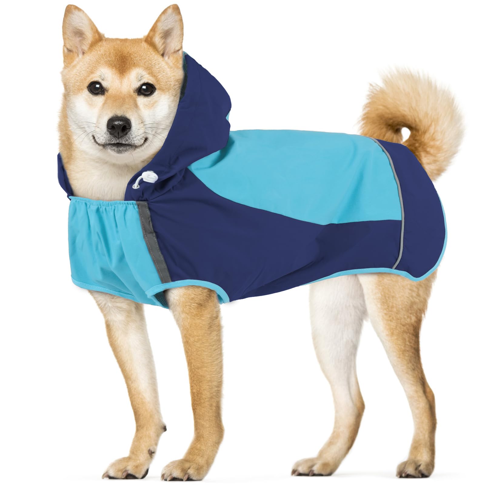 Manteau de pluie pour chien avec capuche pour balades au sec par temps humide
