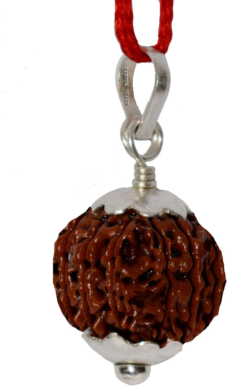 Divya Shakti Nine Face / 9 mukhi Nepali Rudraksha Silver Pendant For Men and Women (20 M.M)
