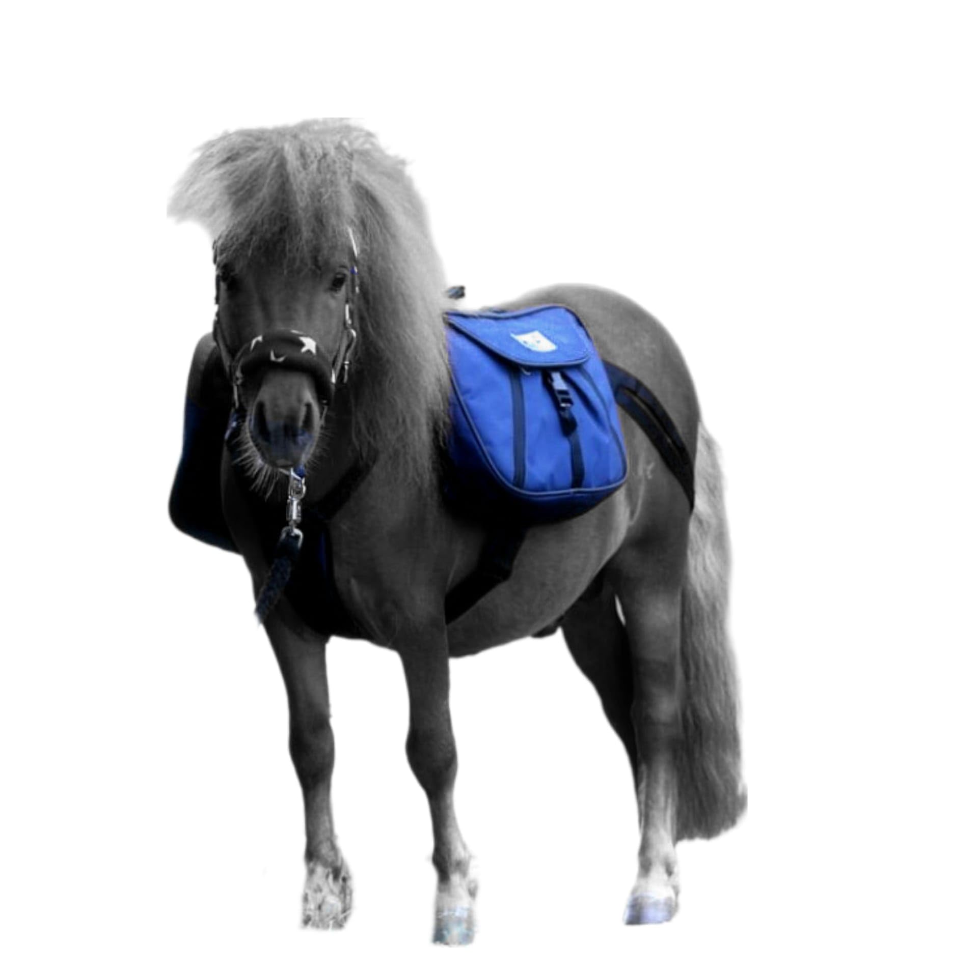 Wanderrucksack Packtaschen Shetty Rucksack Packtasche Handpferd Tysons (Shetty, Blau) Haustier
