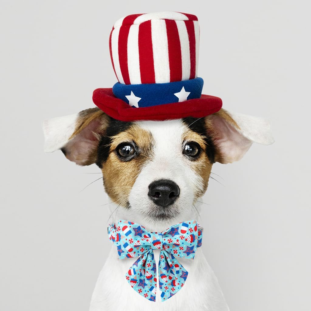 Collar De Perro Bandera Estados Unidos Diseño Patriótico Red