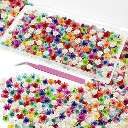 800 PCS Mini Flores Secas para Resina para Manualidades
