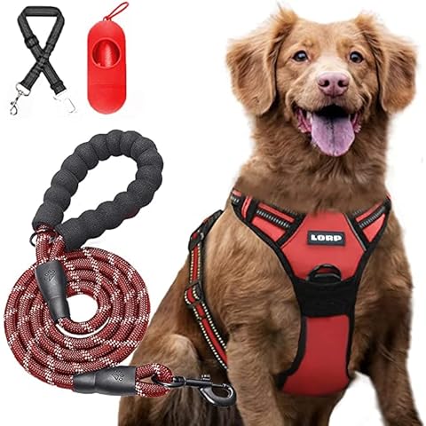 Hundegeschirr-Set mit Leine für große Hunde, Farbe: Rot, stark reflektierend, inklusive einer 1,5 m langen Leine und kostenlosem Sicherheitsgurt Cover