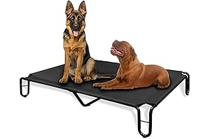 Premium Outdoor Elevated Dog Bed