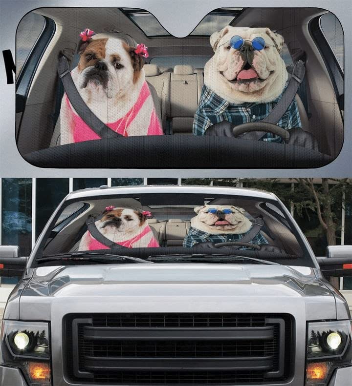 Pare soleil voiture illustré pour voyager avec style avec votre animal