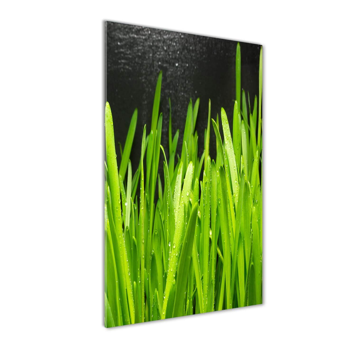 Impression sur verre acrylique Tulup 60x120 cm de fleurs vertes