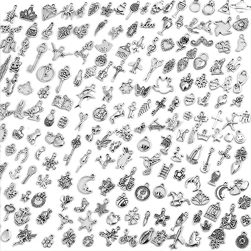 Acejoz 200Pcs Silver Charms for Jewelry Making and Bracelets, Wholesale Bulk Assorted Mixed Tibetan Earring Charms for DIY Necklace Bracelet Jewelry Making and Crafting