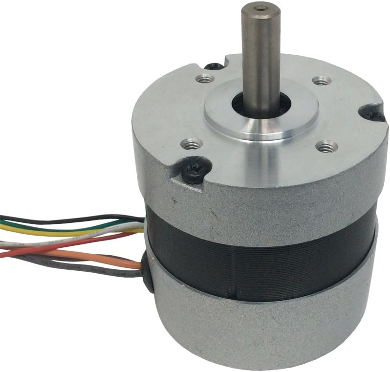 BLDC 24 Volt High Speed 5000 Rpm Brushless Small DC Motor High Torque