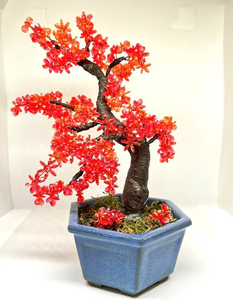 ミニ紅葉盆栽 ミニ紅葉盆栽 ミニ 盆栽