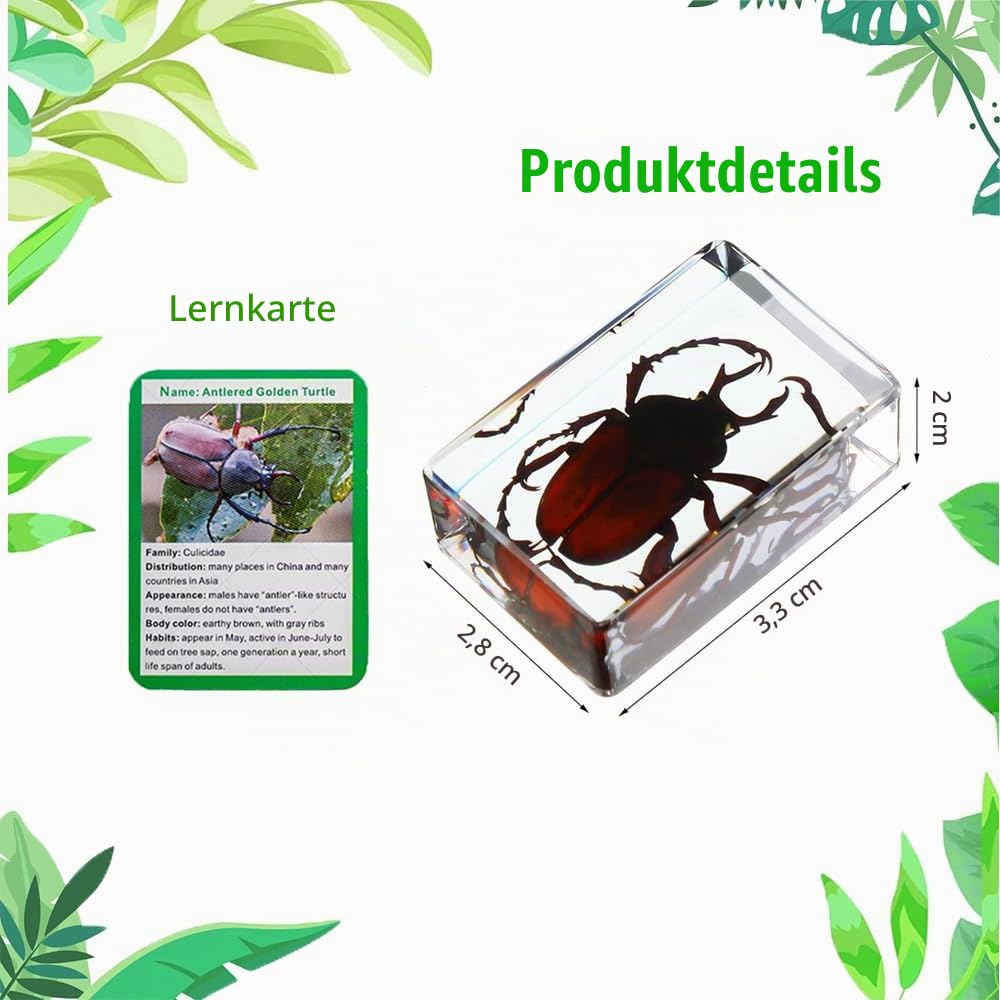 Insekten in Harz Sammlung, Lehrreiches Käfer-Spezimenset für Kinder, Ideal für Vorschule, Klassenzimmer-Naturkunde und Heimdekoration (20 Insect Styles)
