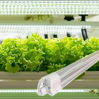 Amazon.co.jp: 【水耕栽培専門店が開発】LED 植物育成ライト おやさい
