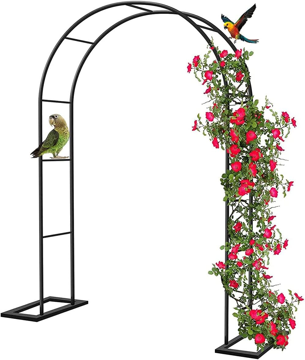 Buy ZWPILY Large Rose Arch, Sturdy Metal Garden Arbor Black Archway