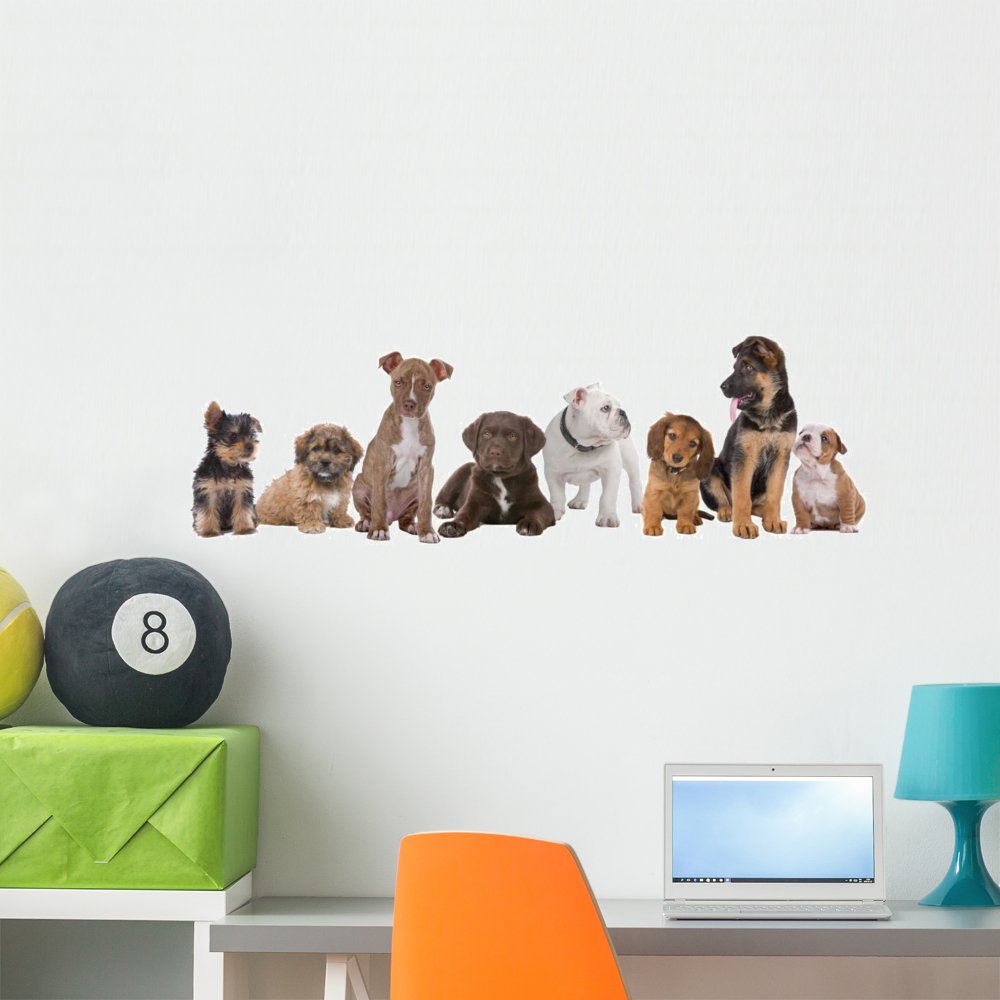WallmonkeysFOT-24945146-36 WM263659 Large Group of Puppies Peel and Stick Wall Decals (36 in W x 13 in H)