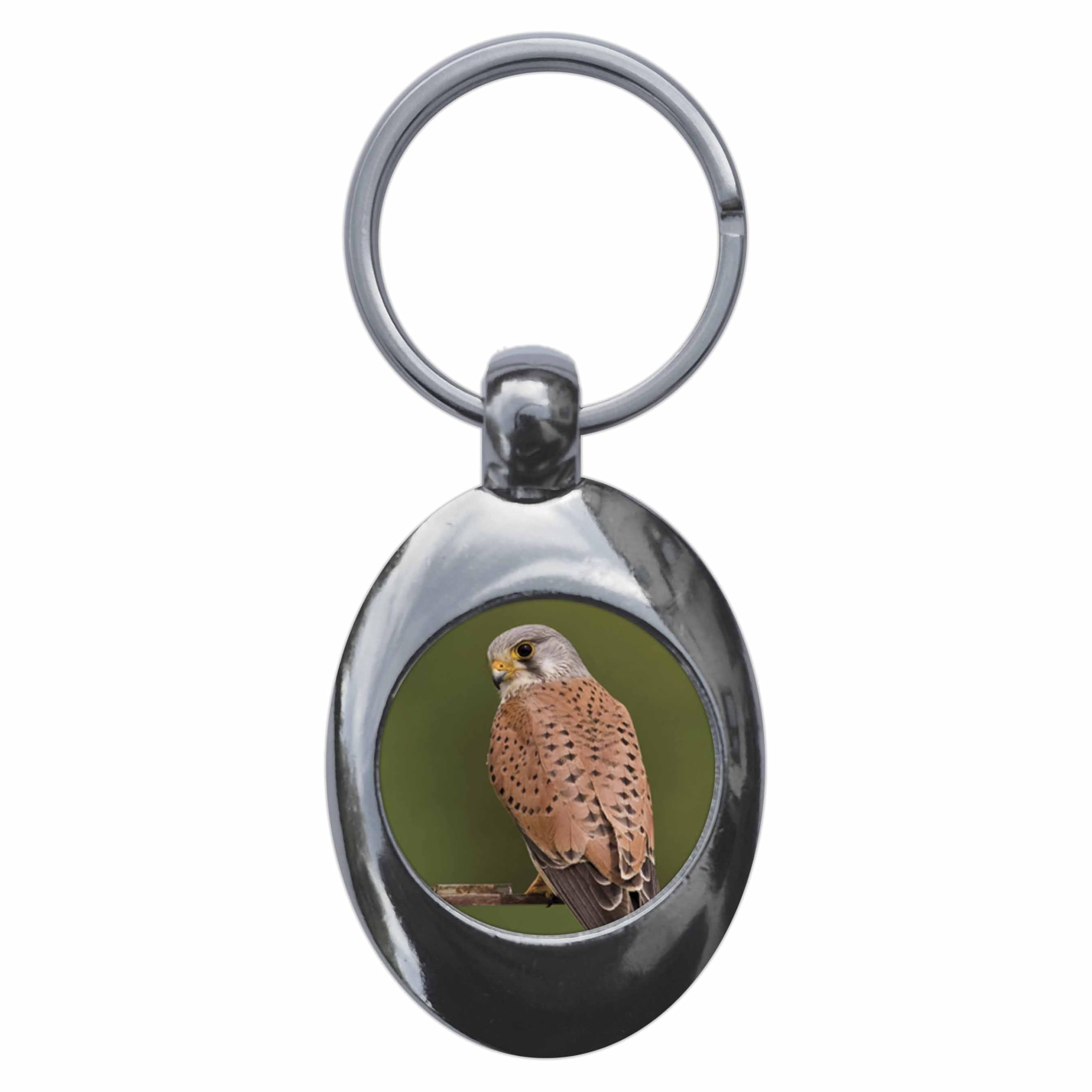 Ozorath Kestrel Keyring Keychain Key Ring Chain With Trolley Coin