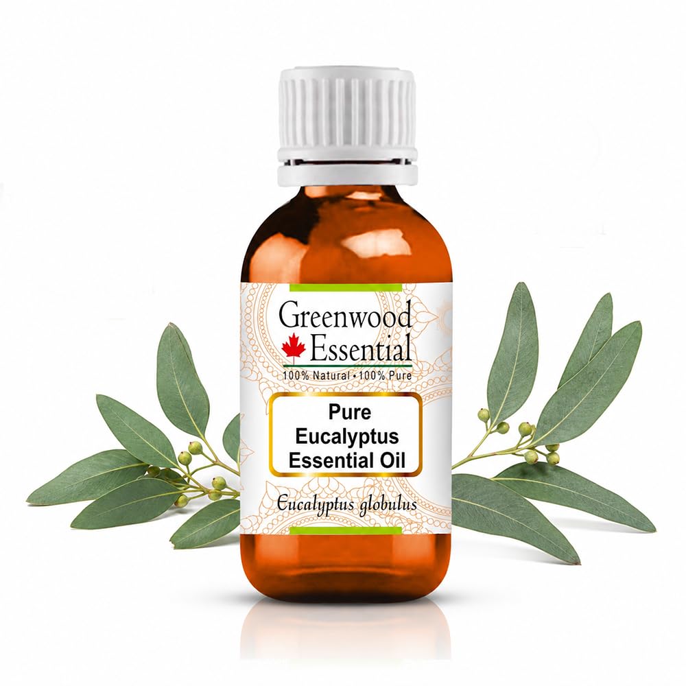 Greenwood Essential Naturreine Ätherisches Eukalyptusöl (Eucalyptus globulus) Dampfdestilliert 100ml X 2 (6.76 oz)