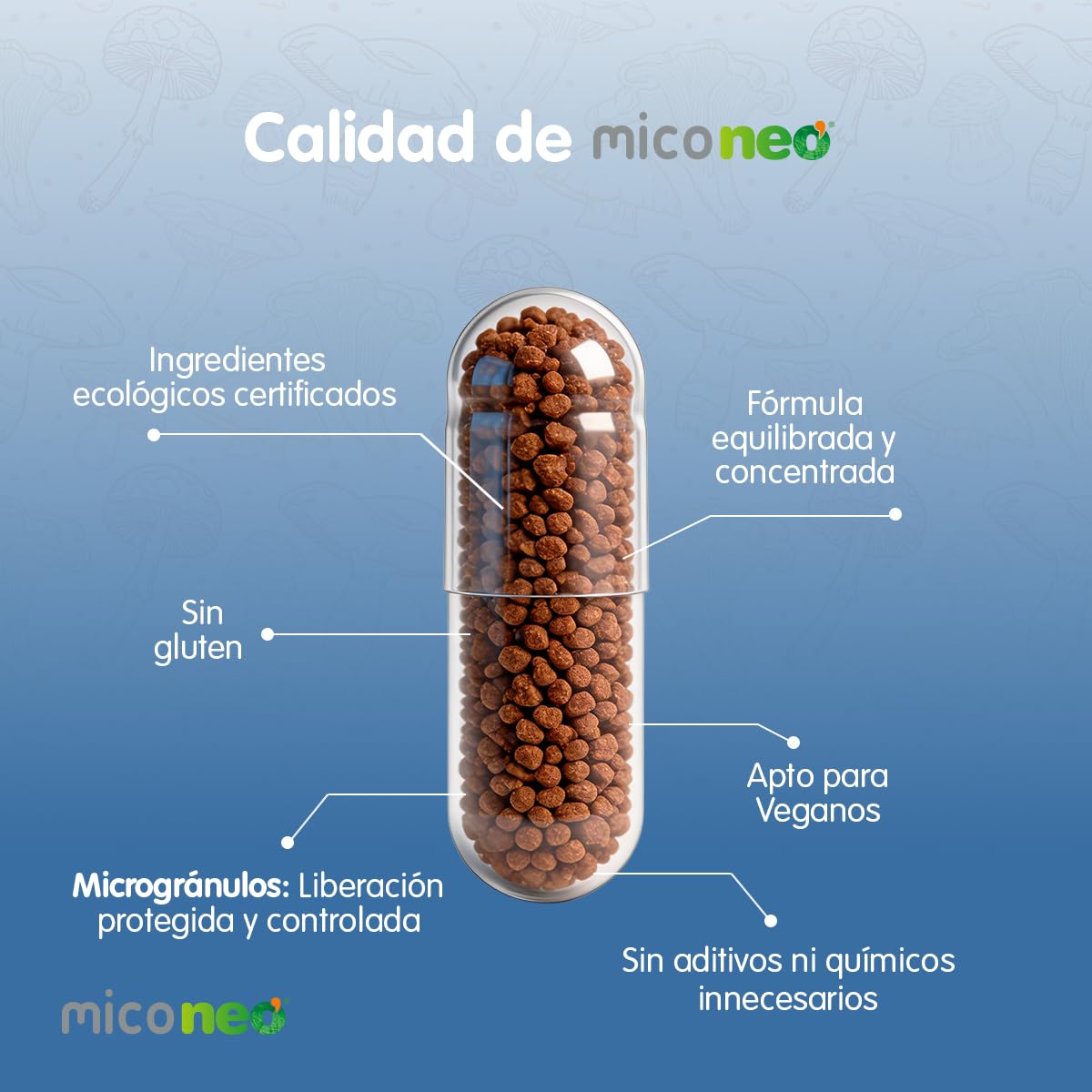 Mico NEO | Champiñón del Sol | 60 Cápsulas | Suplemento Alimenticio Natural | Elaborado con Hongos