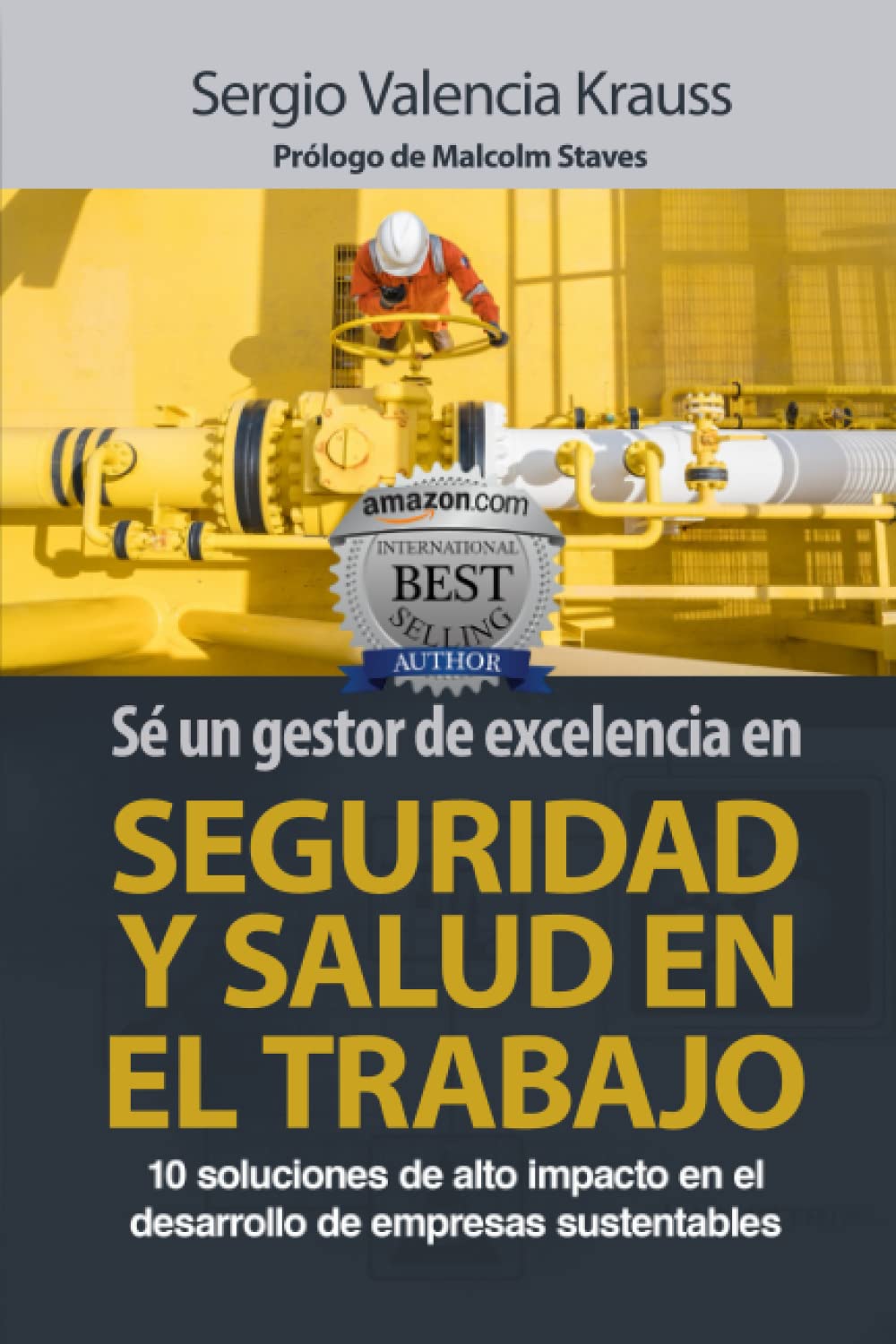 SÉ UN GESTOR DE EXCELENCIA EN SEGURIDAD Y SALUD EN EL TRABAJO: 10 soluciones de alto impacto en el desarrollo de empresas sustentables (Spanish Edition)