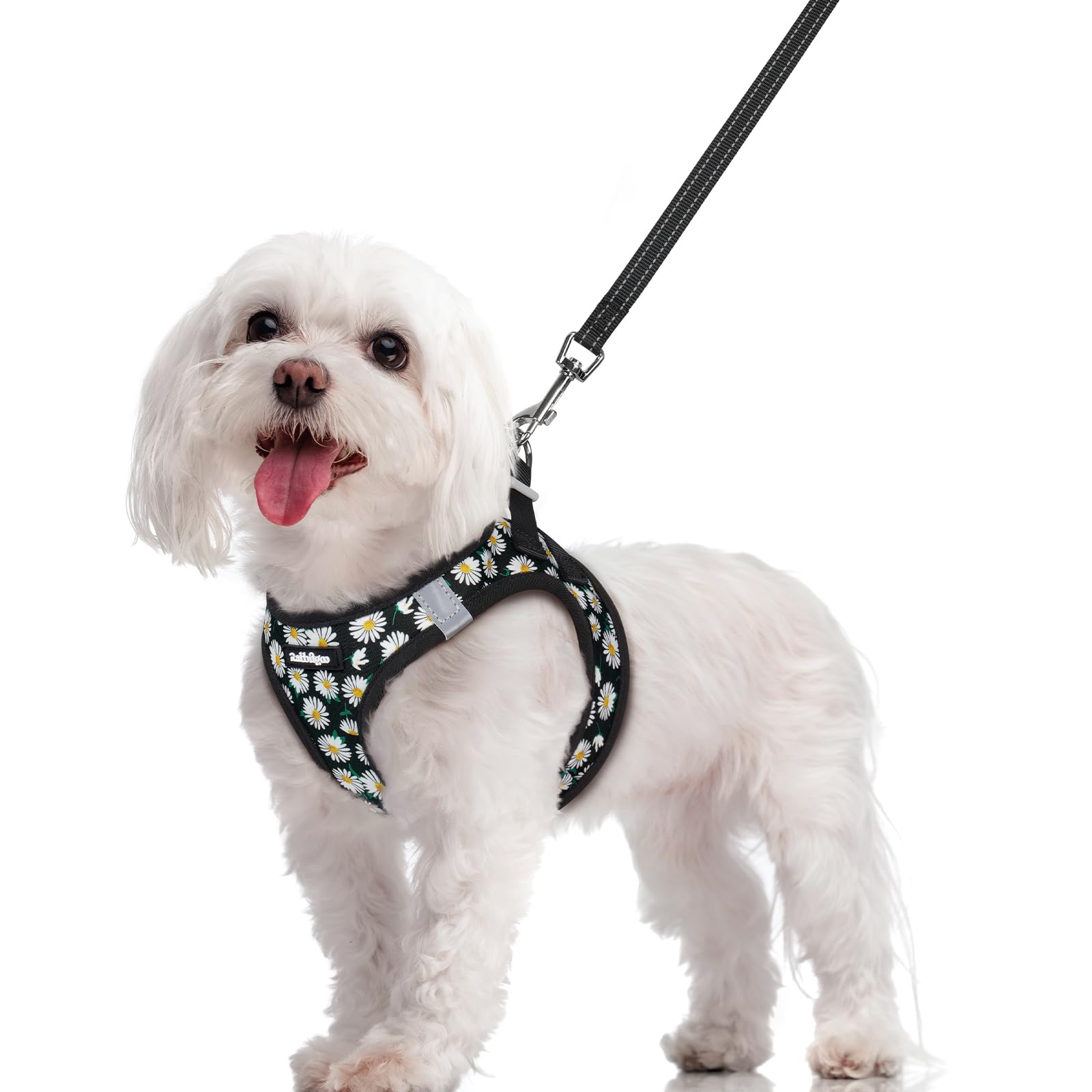 rabbitgoo Dog Harness Medium Sized and Leash Set, Step-in Puppy Pet Vest