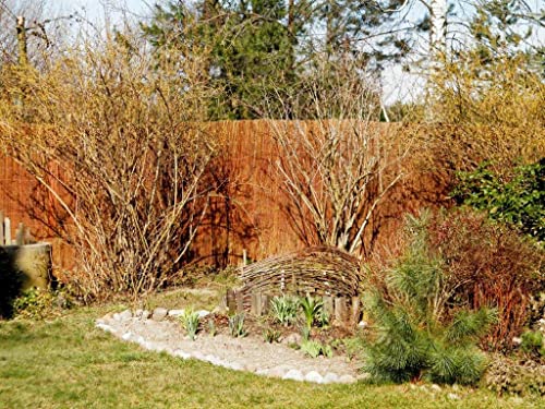 Dynamic24 Weidematte Sichtschutzmatte Garten Sichtschutz Weide Matte Natur Zaun Weidenzaun (90cm, 500cm)
