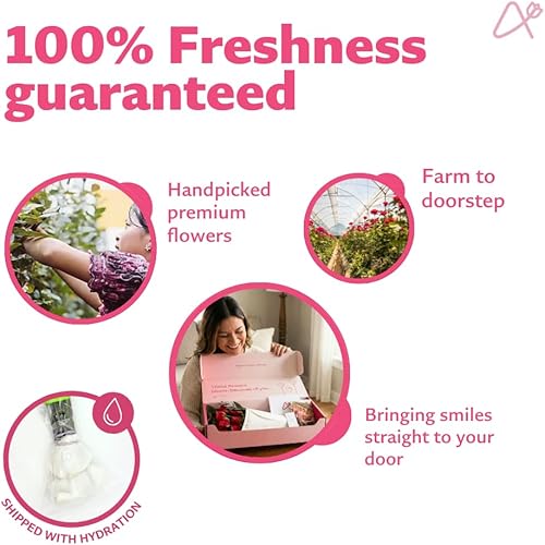 Miniatura 5 de Aquarossa Farms Flores para entrega, ramo de flores frescas, seleccionadas a mano de la granja, regalo para cumpleaños, aniversario o simplemente