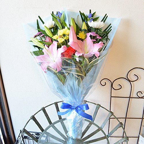 [Gt[] Ԃ܂ p ԑ  ފ  ~ @ @v  dp