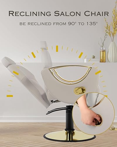 Vista 3 de Silla reclinable para estilista, silla de peluquería multifunción con bomba hidráulica giratoria de 360°, para champú de belleza, spa, tatuaje, Gris