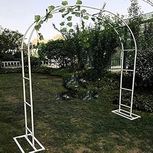 Metalen Rozenboog Rondboog Tuin, Tuinboog, 180 × 240cm 210 × 240 Cm Rozenboog Met Deur Rozet Boog Zwart/wit, Zowel Land- Als Cementvloeren Kunnen Gebruikt Worden,White-3.5×2.2m