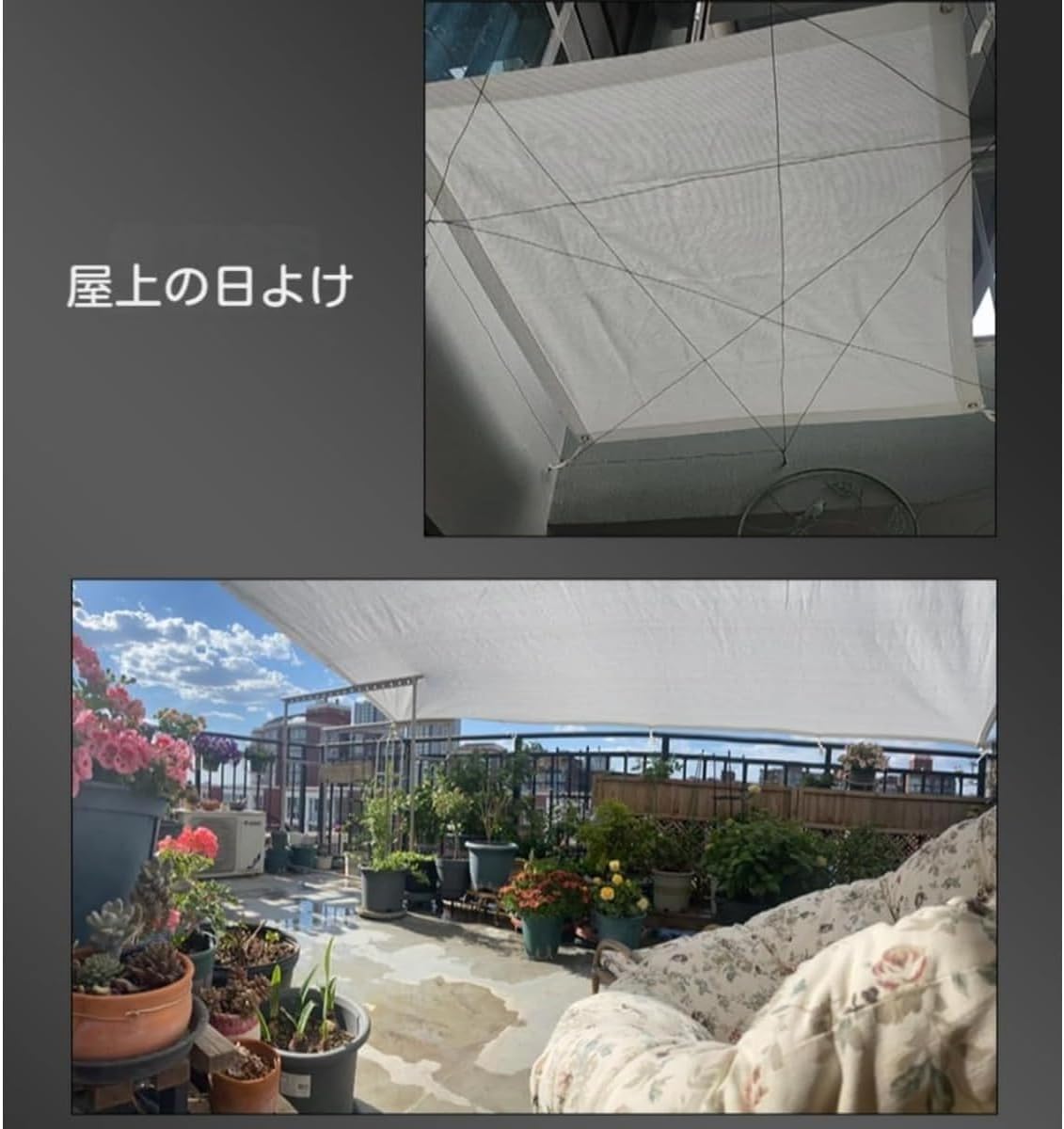 MYJYG 多肉植物用植物シェードネット、夏の日よけ、バルコニー、農業、園芸、断熱、日よけ、バルコニー、日焼け止め、庭、55%の遮光