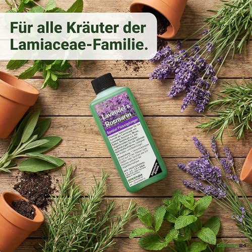 Lavendel & Rosmarin Dünger – NPK Volldünger für Lamiaceae | Lavandula, Rosmarinus officinalis, Salbei, Thymian, Minze, Basilikum | Flüssigdünger Konzentrat 250 ml | GREEN24 PROFI LINIE