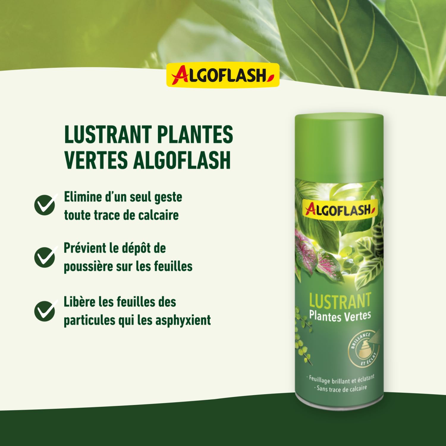 ALGOFLASH Lustrant Plantes Vertes, Brillance et Éclat, Prêt à l'Emploi, 250 mL, ALUSTR250R